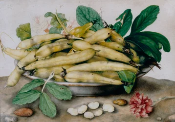 Assiette de fèves
